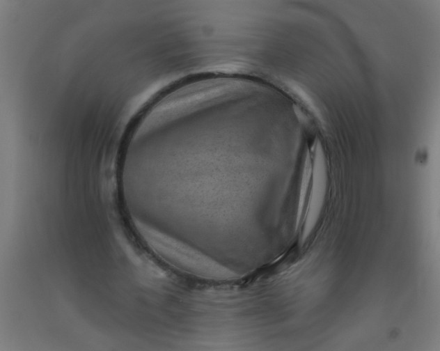 X0000092030532200709271611