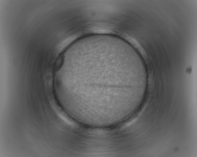 X0000092030533200709271611