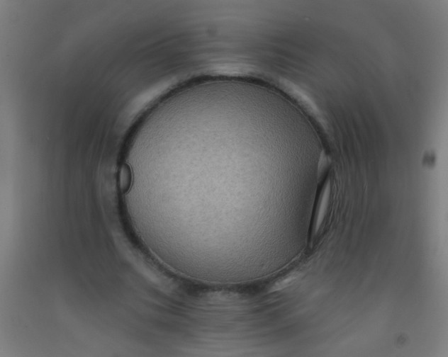 X0000092030535200709271611