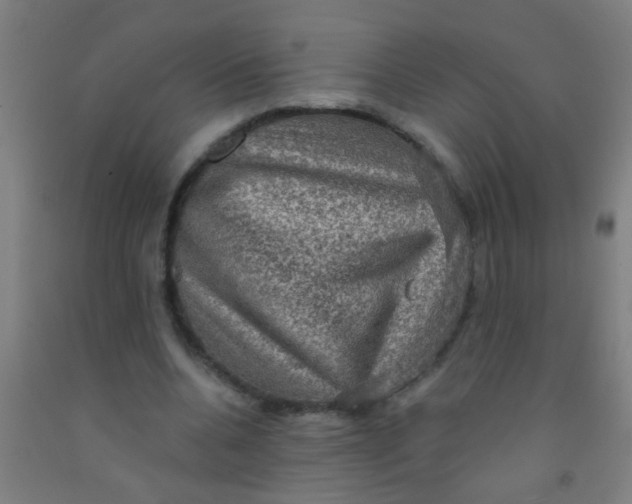 X0000092030536200709271611