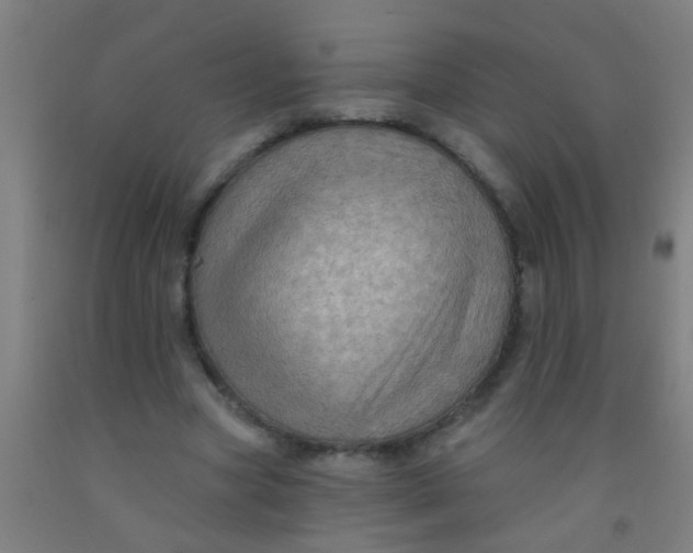 X0000092030537200709271611