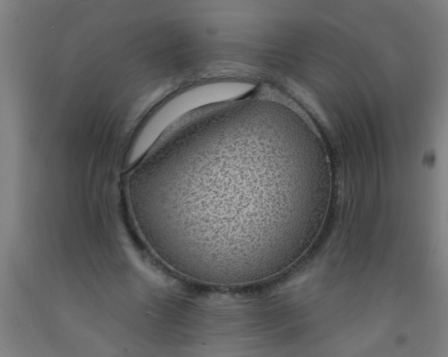 X0000092030538200709271611