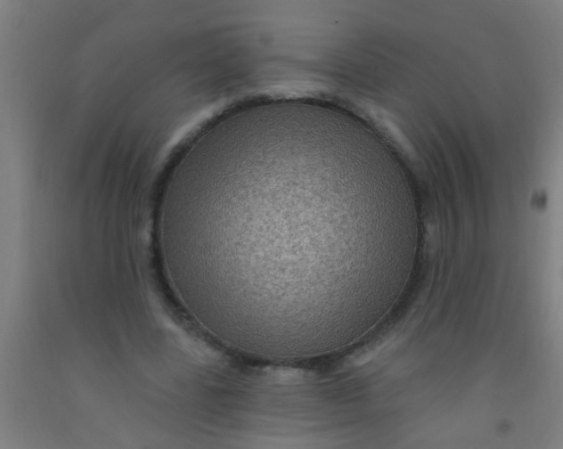 X0000092030539200709271611