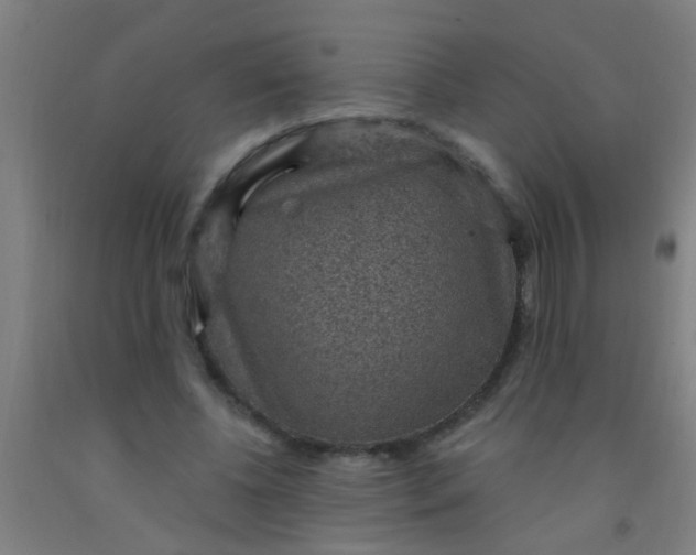 X0000092030540200709271611