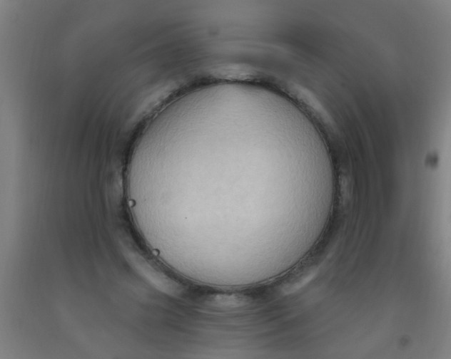 X0000092030541200709271611