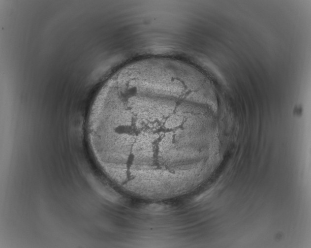 X0000092030542200709271611