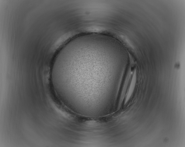 X0000092030544200709271611