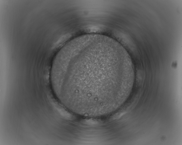 X0000092030545200709271611