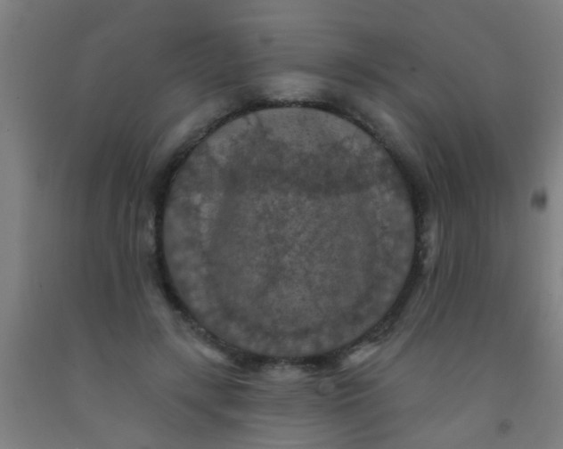 X0000092030547200709271611