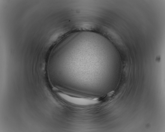 X0000092030548200709271611