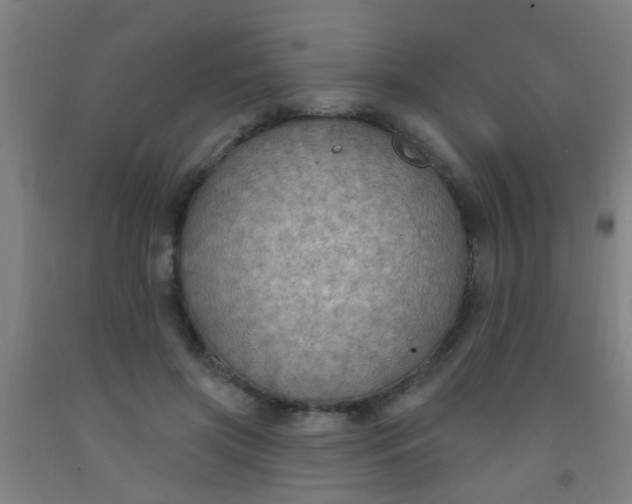 X0000092030549200709271611