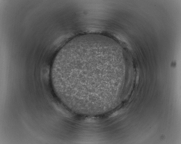 X0000092030550200709271611