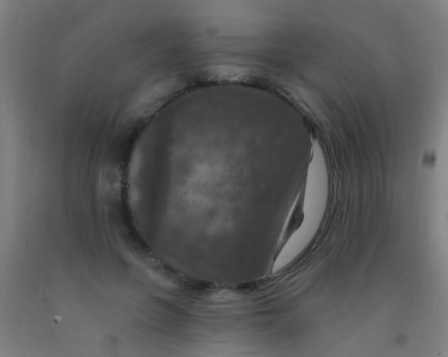 X0000092030551200709271611