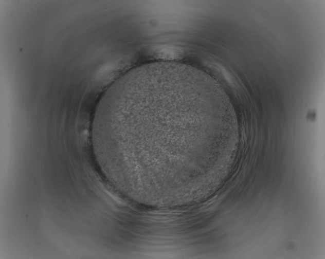 X0000092030553200709271611