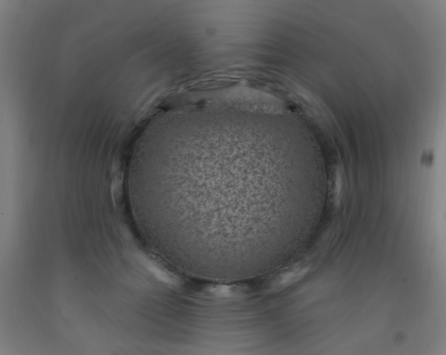 X0000092030558200709271611