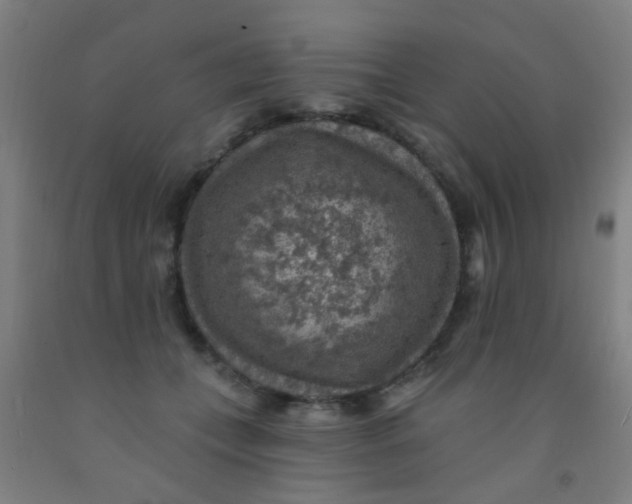 X0000092030559200709271611