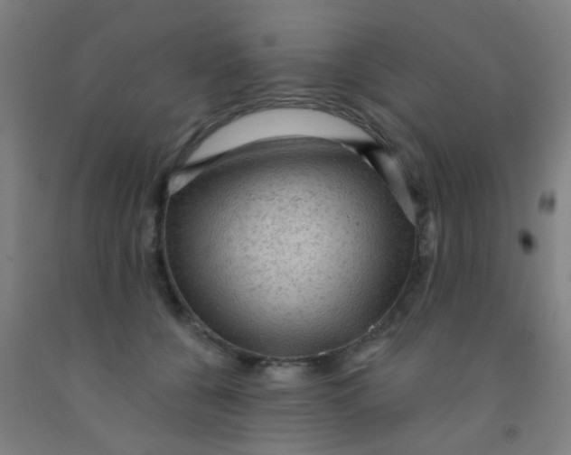 X0000092030560200709271611