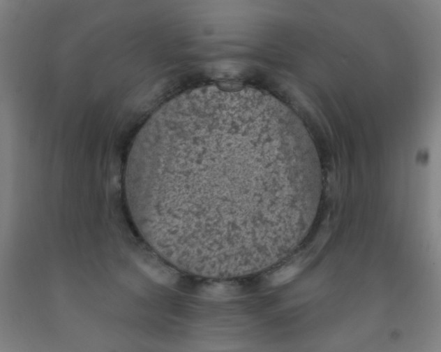 X0000092030561200709271611