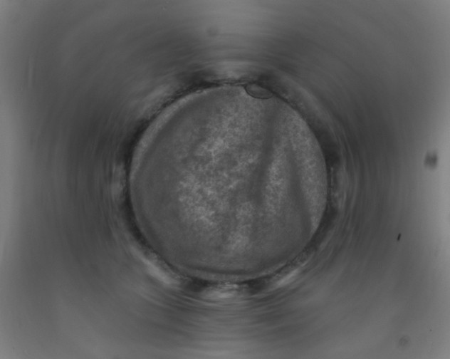 X0000092030563200709271611