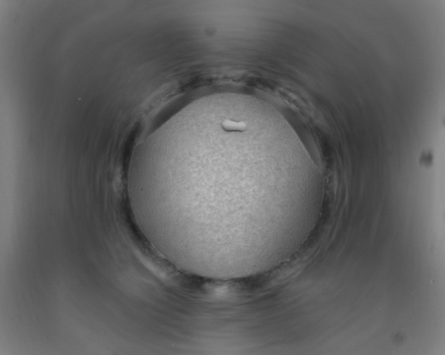 X0000092030564200709271611