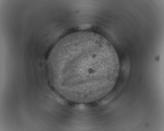 X0000092030565200709271611