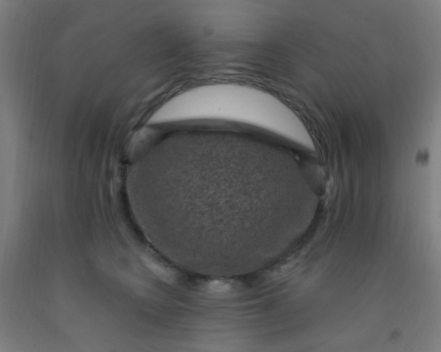 X0000092030566200709271611