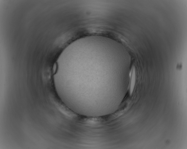 X0000092030567200709271611