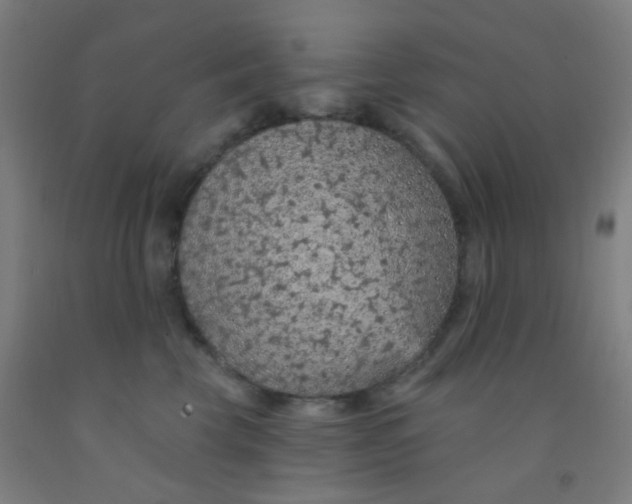 X0000092030569200709271611