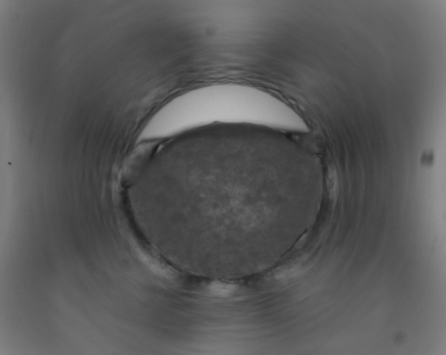 X0000092030570200709271611