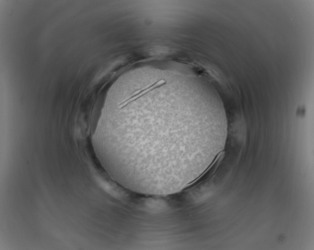 X0000092030572200709271611