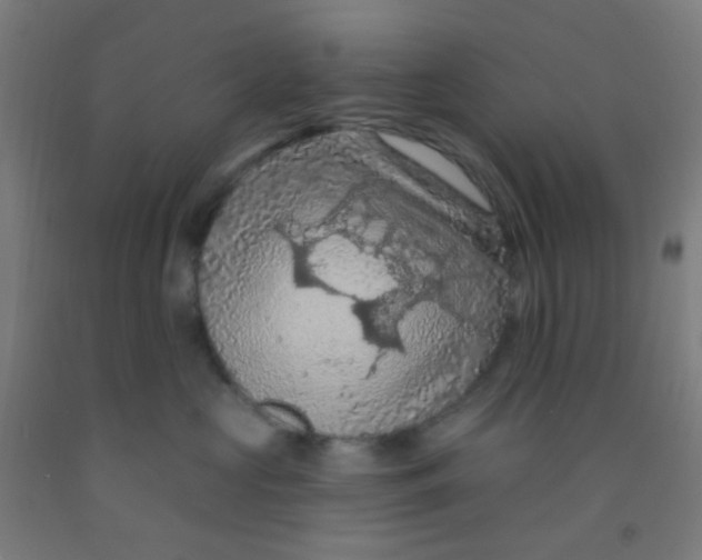 X0000092030573200709271611