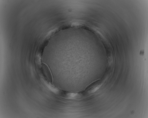 X0000092030575200709271611