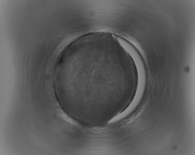 X0000092030577200709271611