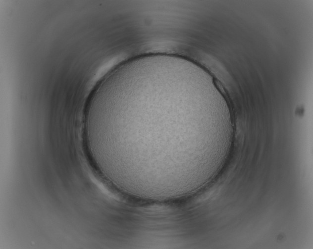 X0000092030578200709271611