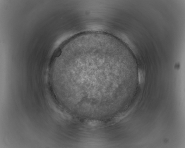 X0000092030579200709271611