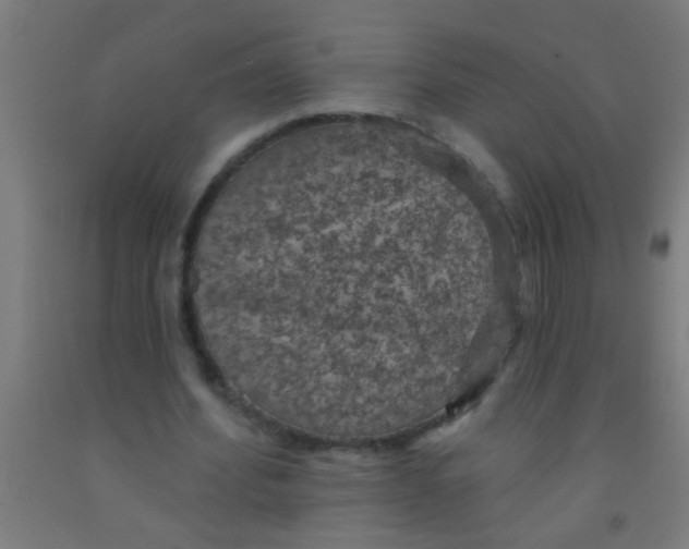 X0000092030580200709271611