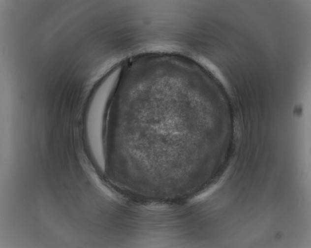 X0000092030581200709271611