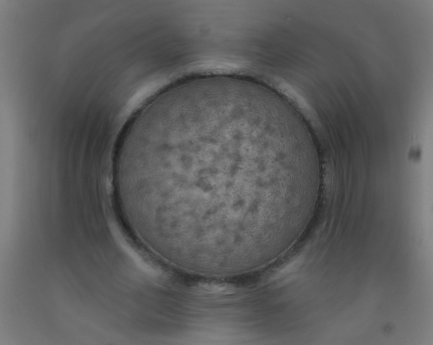 X0000092030582200709271611