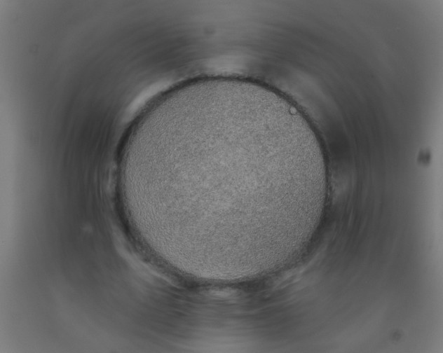 X0000092030583200709271611