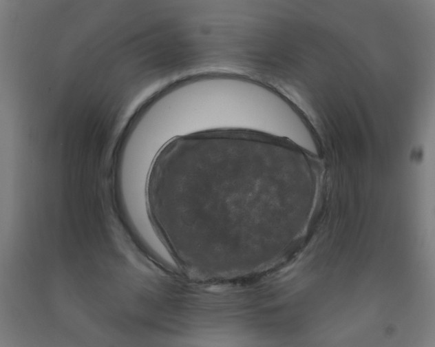 X0000092030584200709271611