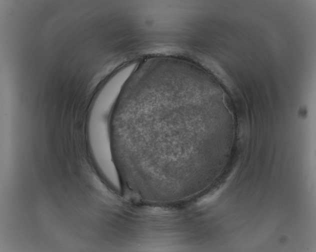 X0000092030585200709271611