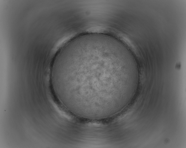 X0000092030586200709271611