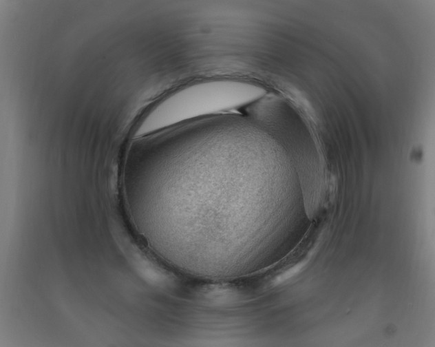 X0000092030589200709271611