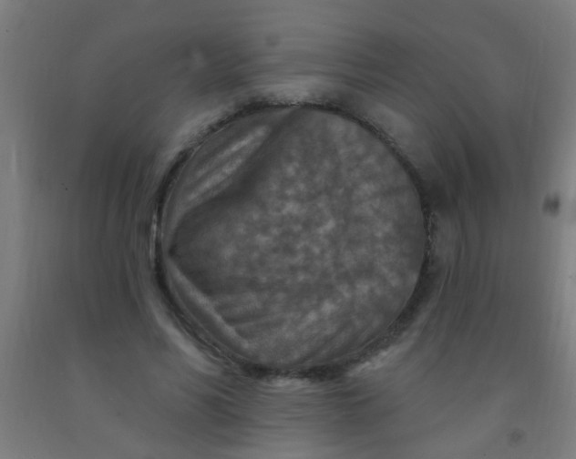 X0000092030590200709271611