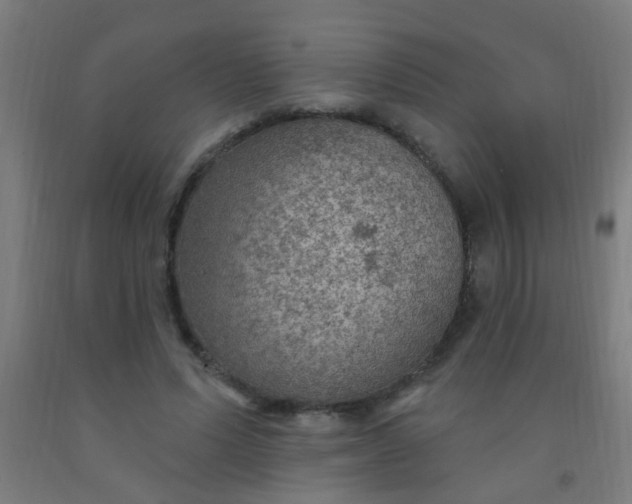 X0000092030591200709271611