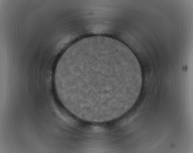 X0000092030592200709271611