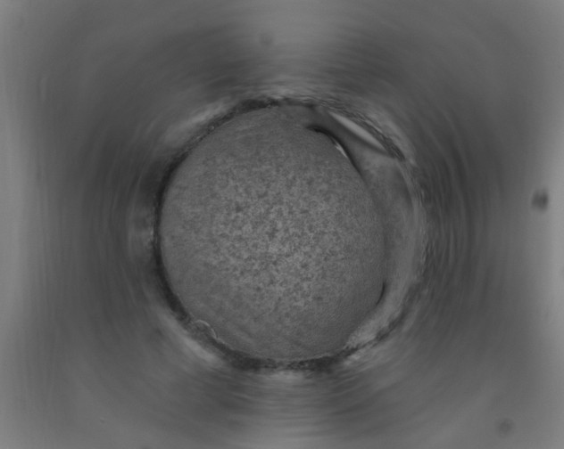 X0000092030593200709271611