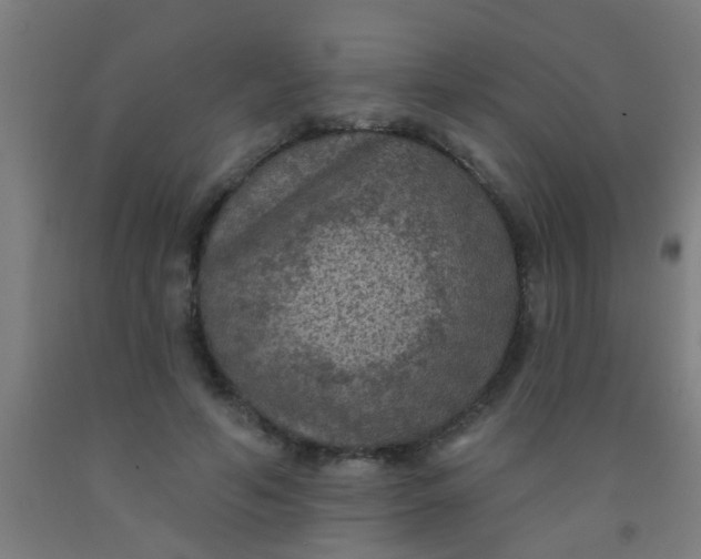 X0000092030594200709271611