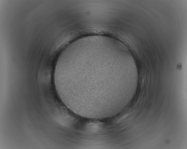 X0000092030595200709271611