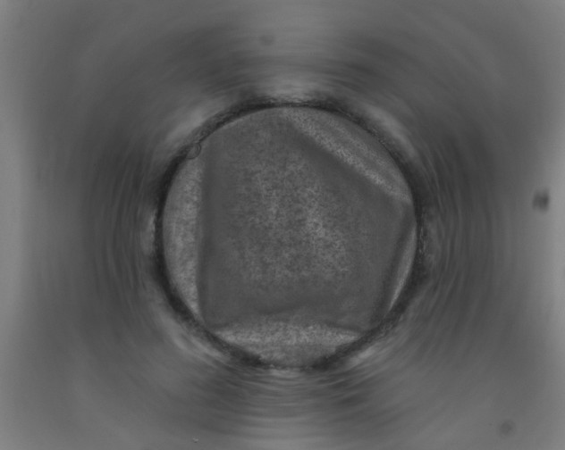 X0000092030596200709271611